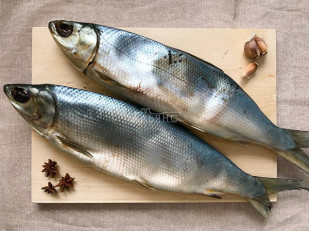 Вомер холодного копчения: Сиг вяленый