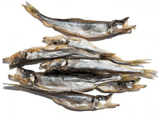 Орехи: Корюшка (мелкая) вяленая (Камчатка)